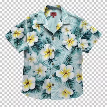 Shirt to try on